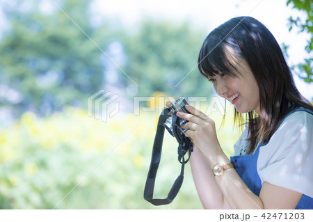 カメラ女子　ひまわり畑　夏 42471203