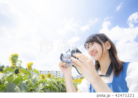 カメラ女子 ひまわり畑 夏 カメラ女子 ひまわり畑 夏 42471221