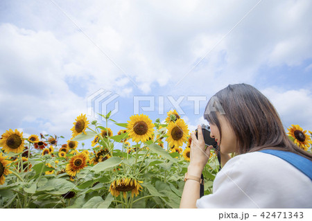 カメラ 撮影 夏 カメラ 撮影 夏 42471343