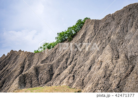 台湾 高雄 高雄市 42471377