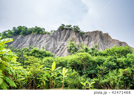 台湾 高雄 高雄市 42471468