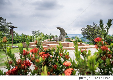 台湾 高雄 高雄市 42471492