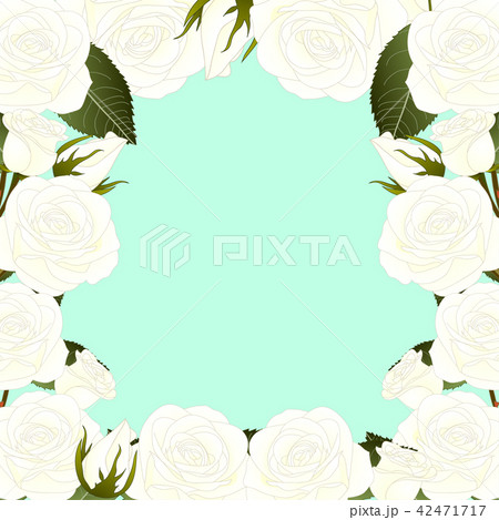 White Rose Flower Border2 42471717