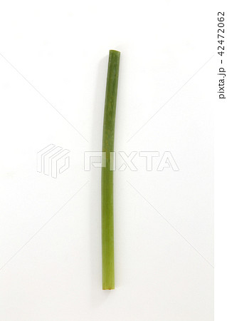 にんにくの芽 にんにくの芽 42472062