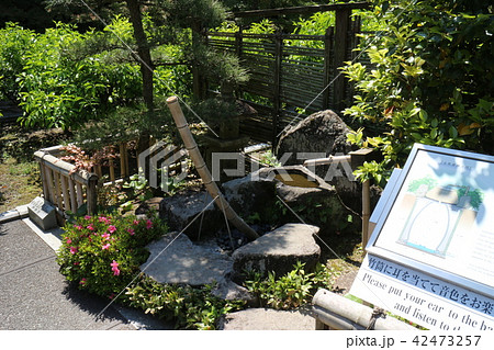 松山城二ノ丸史跡庭園の水琴窟 松山城二ノ丸史跡庭園の水琴窟 42473257