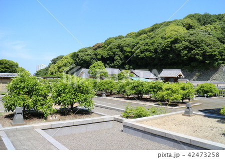 松山城二ノ丸史跡庭園 松山城二ノ丸史跡庭園 42473258