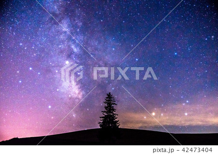 《北海道》美瑛・天の川とクリスマスツリーの木 42473404