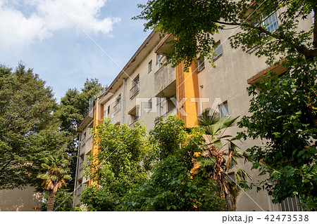 取り壊しを待つ、埼玉県草加市の松原団地 42473538