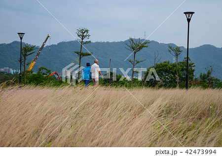 大人 アダルト 成人 42473994