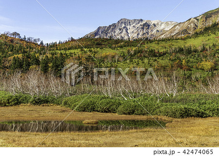 白馬岳の紅葉 白馬岳の紅葉 42474065
