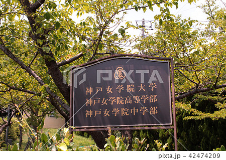 神戸女学院 神戸女学院 42474209