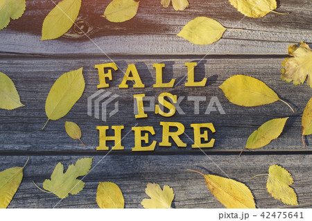 Yellow inscription. Fall is here in wooden letters Yellow inscription. Fall is here in wooden letters 42475641