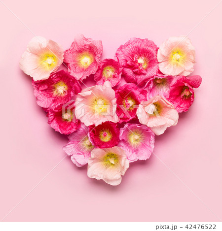 Heart of mallow flowers. Minimalism beauty 42476522