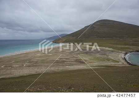 The Neck on Saunders Island The Neck on Saunders Island 42477457