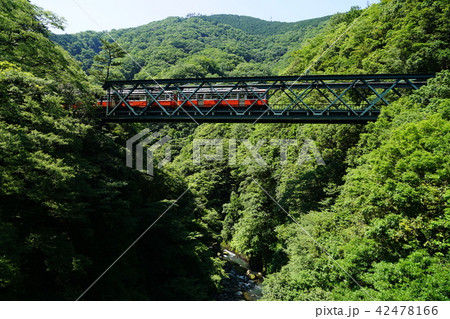 6月　箱根42早川橋梁(出山の鉄橋)箱根登山電車 42478166