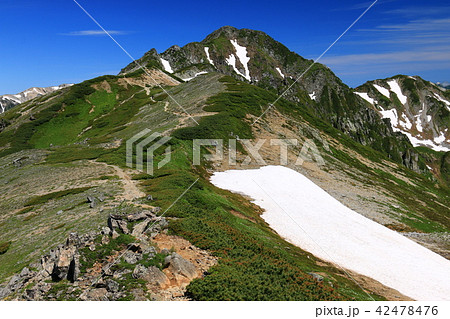 北アルプス　水晶岳山頂への道 42478476