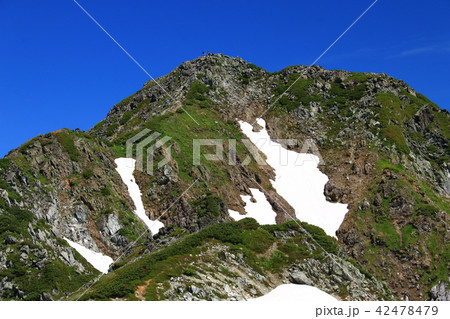 北アルプス　水晶岳山頂への道 42478479