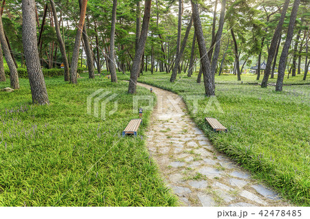 松林 慶北 常 42478485