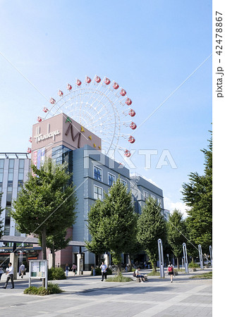 横浜市・市営地下鉄・グリーンライン・センター北駅 42478867