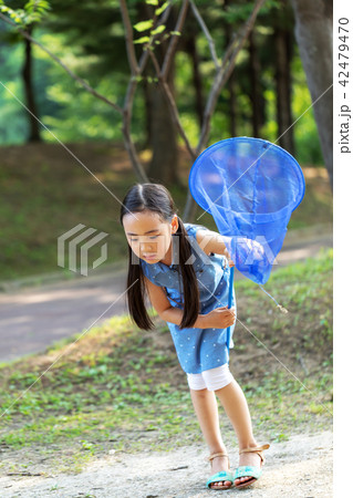 夏 子供 公園 42479470