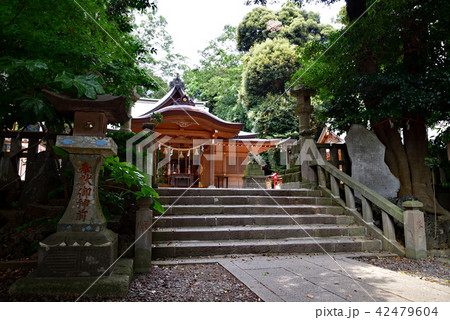 武州岩槻総鎮守 久伊豆神社 42479604