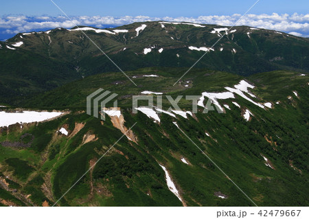 北アルプス　水晶岳山頂への道 42479667