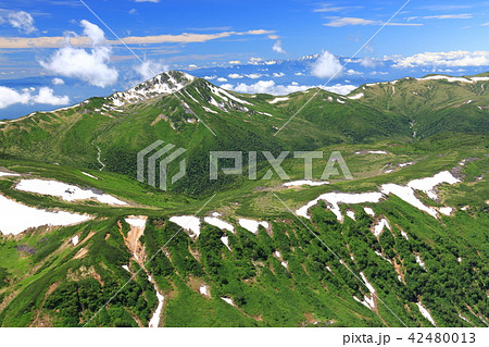 北アルプス水晶岳(黒岳)山頂からの山々 黒部五郎岳と雲ノ平全景 白山遠景 北アルプス水晶岳(黒岳)山頂からの山々 黒部五郎岳と雲ノ平全景 白山遠景 42480013