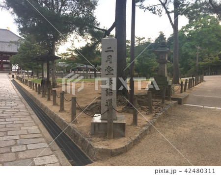 分かれ道 42480311