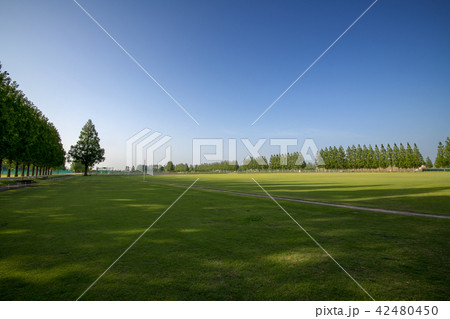 総合グラウンド 運動場 総合グラウンド 運動場 42480450