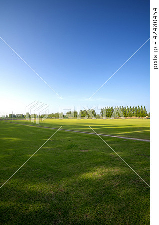 総合グラウンド 運動場 総合グラウンド 運動場 42480454