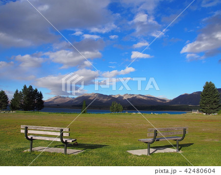 ニュージーランド　テカポ　ベンチ 42480604