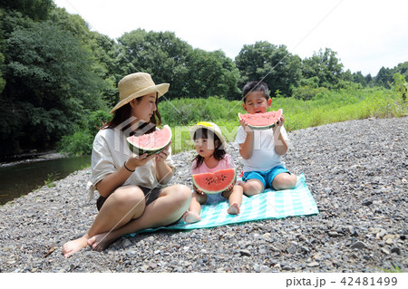 西瓜を食べる親子 42481499