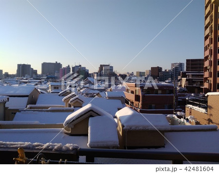 雪景色と朝陽 雪景色と朝陽 42481604