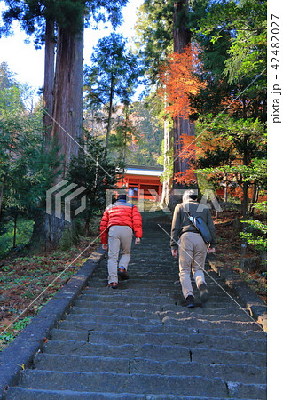 群馬の妙義神社の隋神門(ずいしんもん)と石段を登る参拝者 42482027