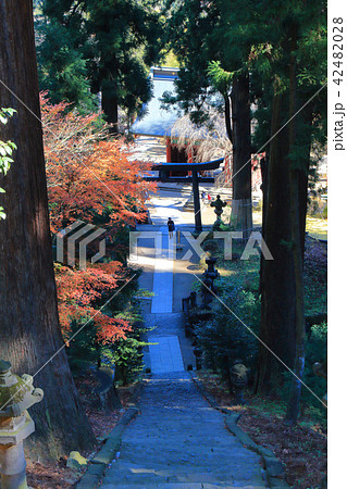 群馬の妙義神社の隋神門から銅の鳥居方面を見下ろす 群馬の妙義神社の隋神門から銅の鳥居方面を見下ろす 42482028