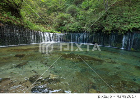 長野県軽井沢町の白糸の滝 長野県軽井沢町の白糸の滝 42482617