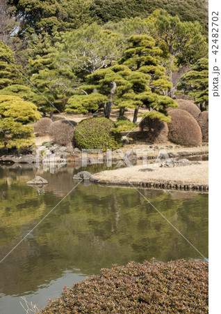 早春の日本庭園 早春の日本庭園 42482702