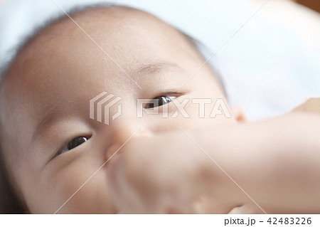 ベッドの上の赤ちゃん 42483226