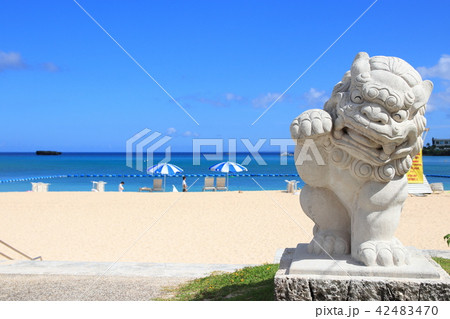 恩納村海浜公園ナビービーチ 42483470