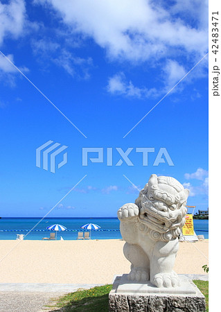 恩納村海浜公園ナビービーチ 恩納村海浜公園ナビービーチ 42483471