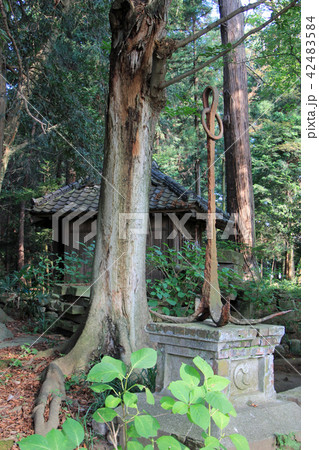 野木神社 野木神社 42483584