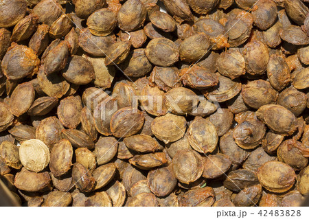 The background of apricot pits The background of apricot pits 42483828