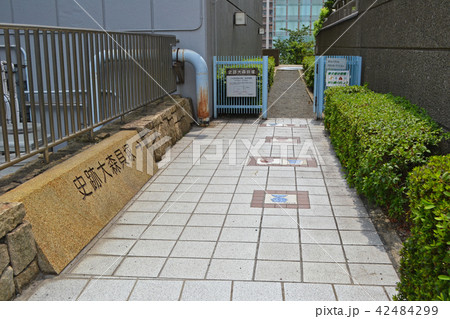大森貝塚(大田区側) 記念碑入り口付近 大森貝塚(大田区側) 記念碑入り口付近 42484299