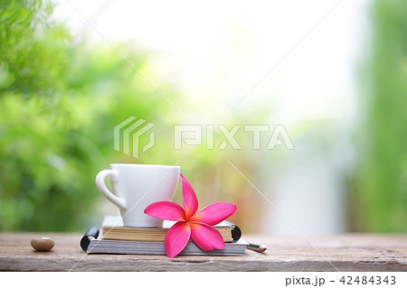 White cup with frangipani flower and notebooks White cup with frangipani flower and notebooks 42484343