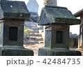 神社の稲荷 42484735