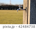 水が垂れる公園の蛇口 42484738