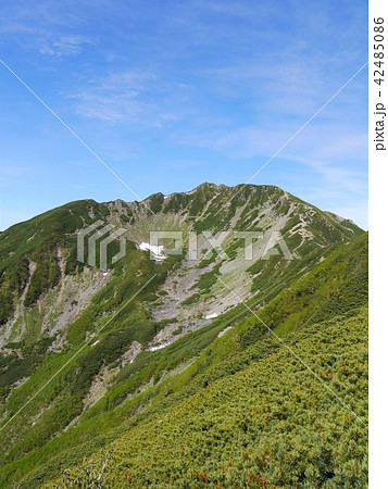 南アルプス 仙丈ヶ岳登山 南アルプス 仙丈ヶ岳登山 42485086