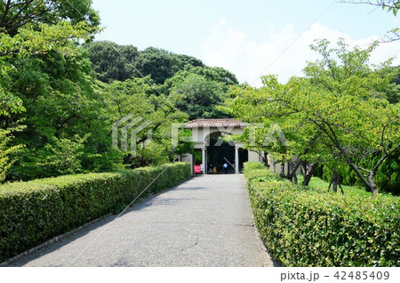 神戸女学院 42485409