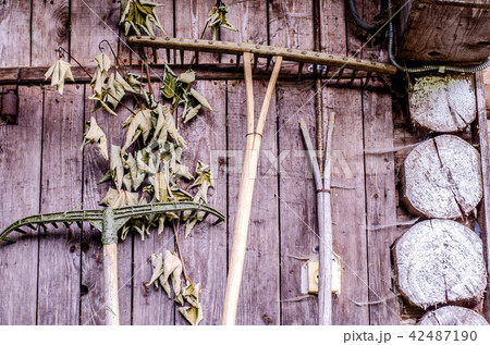 Wooden wall of rural hut with agricultural tools. 42487190
