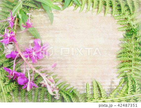 Floral background with wild flowers and herbs. 42487351